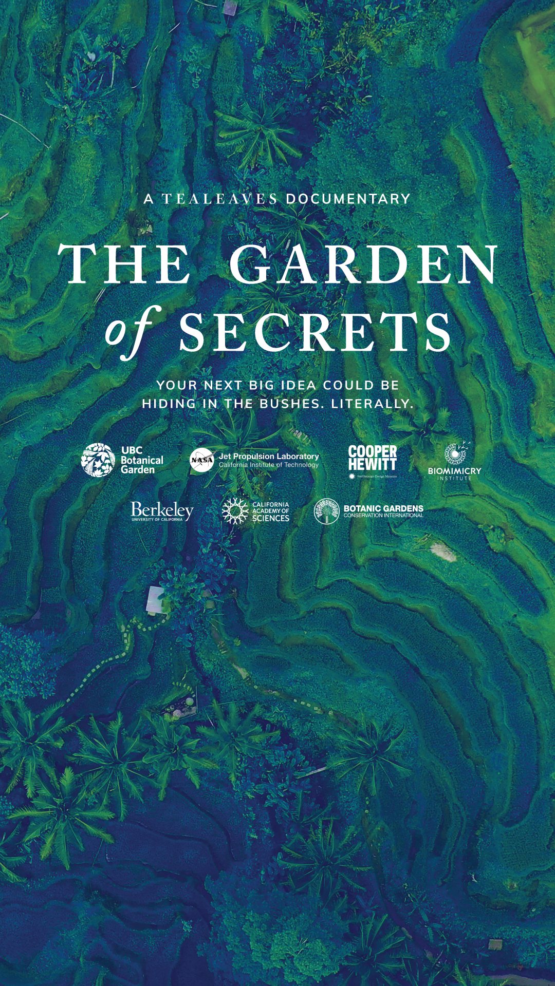 The Garden of Secrets | A TEALEAVES Documentary - Your Next Big Idea Could Be Hiding in the Bushes. Literally.