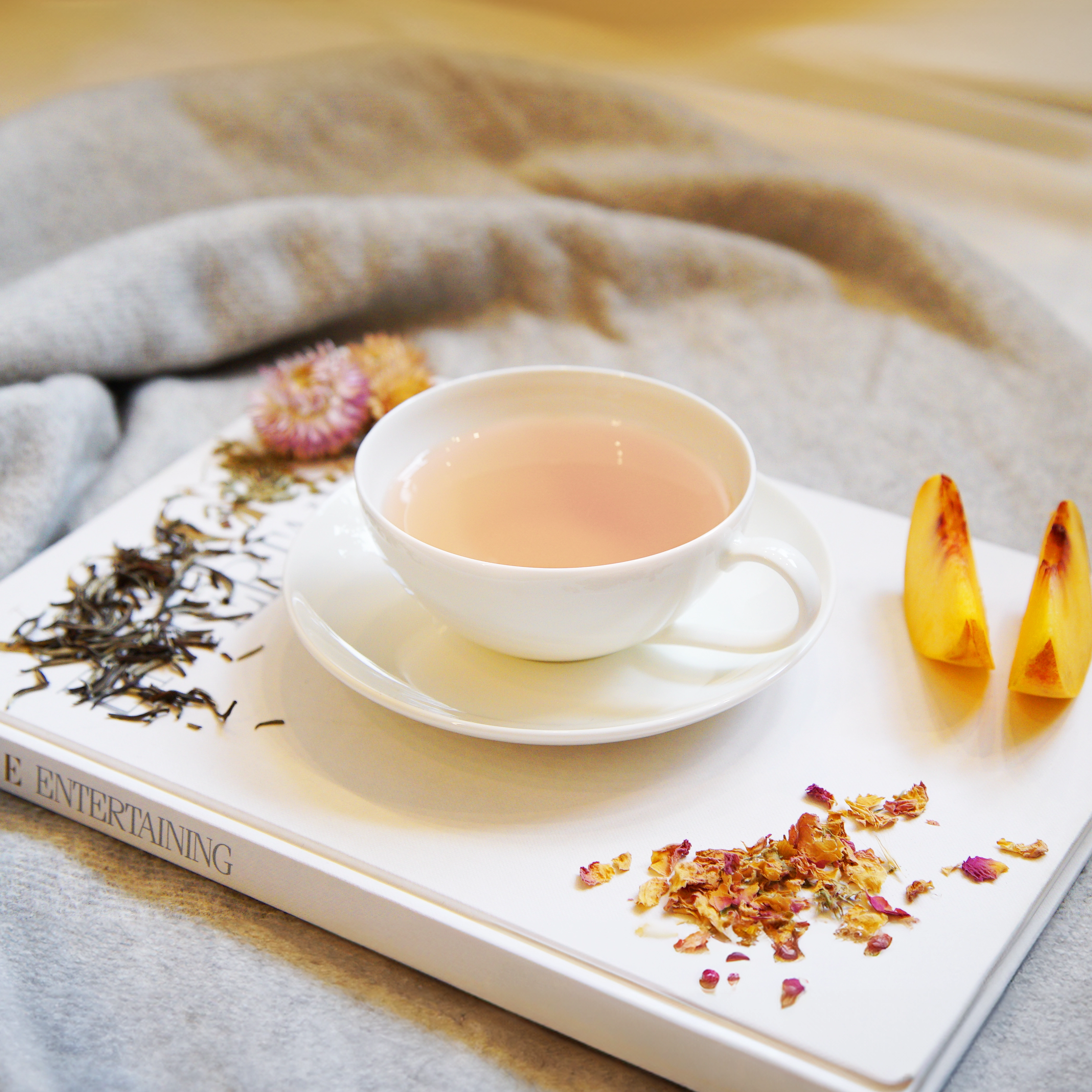 Pantone Color of the Year 2024 Peach Fuzz