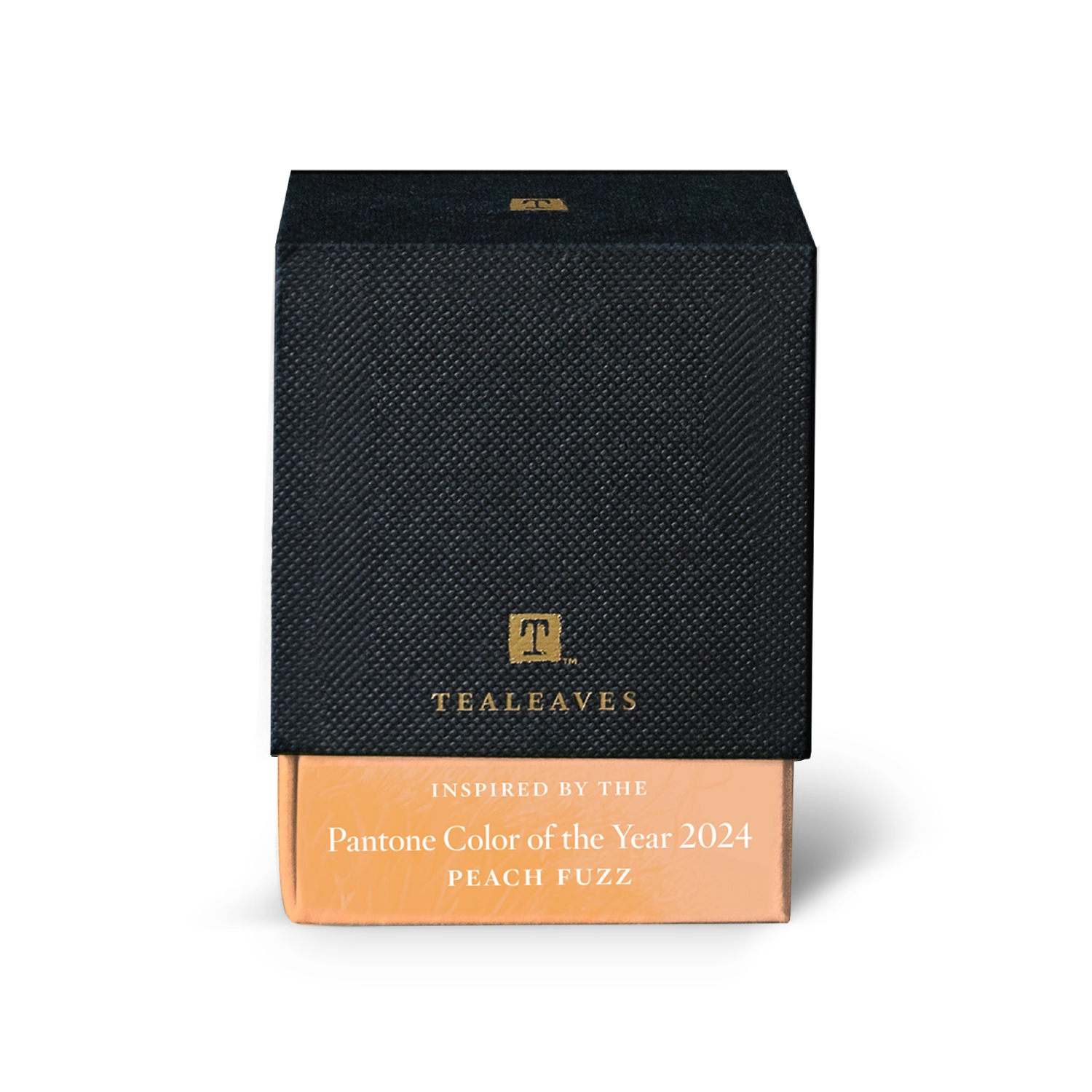 Pantone Color of the Year 2024 Peach Fuzz